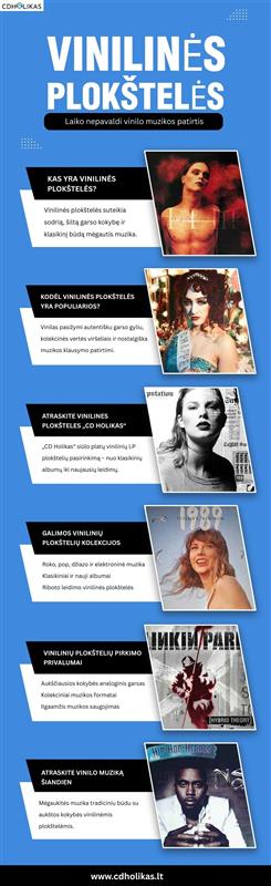VINILINĖS PLOKŠTELĖS Laiko nepavaldi vinilo muzikos patirtis.jpg