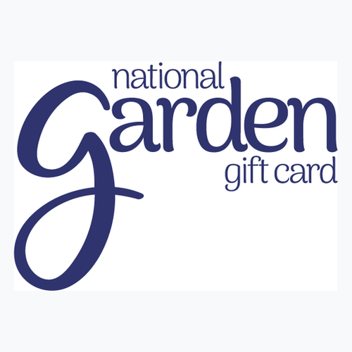 icon ready google bg.png