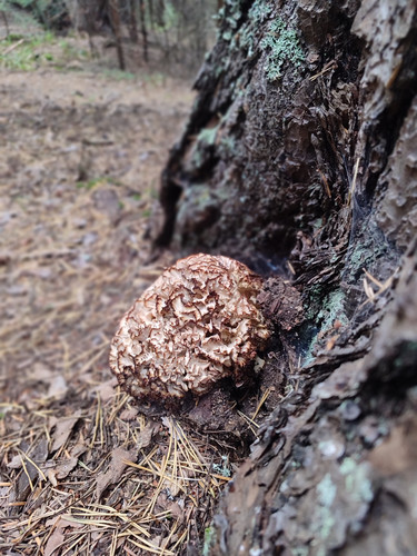 IMG 20250906 164213.jpg