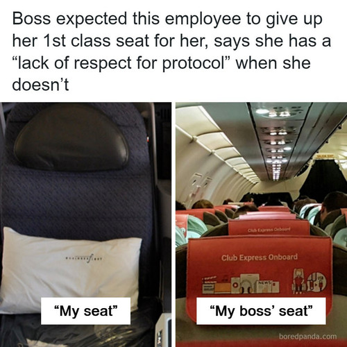 boss demands employees first class plane seat.jpg