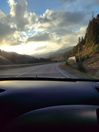 IMG 20250906 180028.jpg