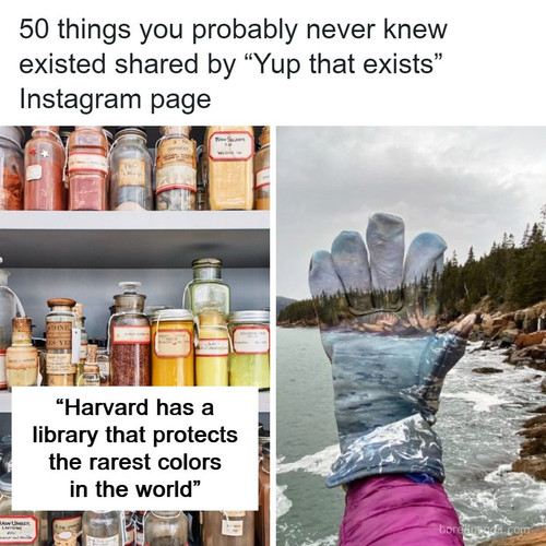 things never knew existed posts.jpg