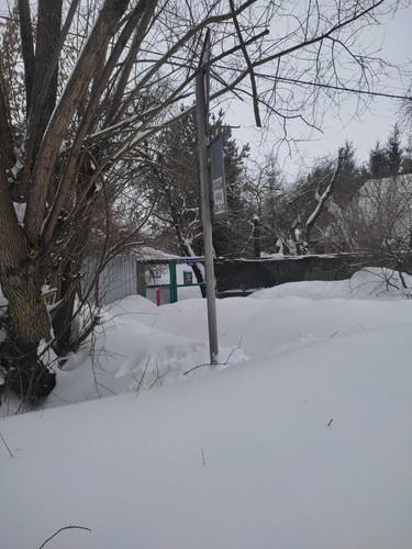 IMG 20260225 141337.jpg