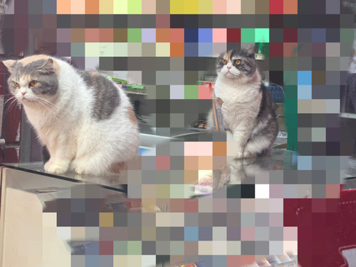 retouch 2026022520373922.jpg