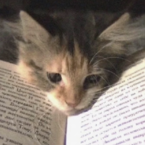 IMG 20260225 202733.png