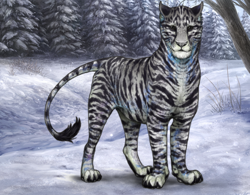 Screenshot 2026 02 25 at 11.31.14 AM.png