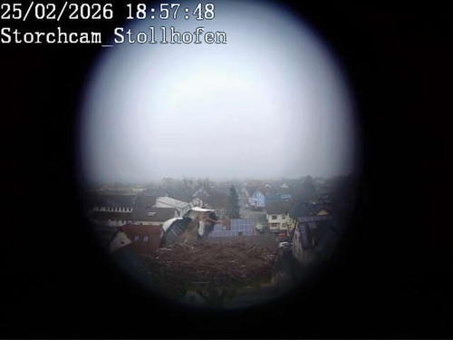 MWSnap086.jpg