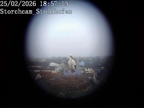 MWSnap084.jpg