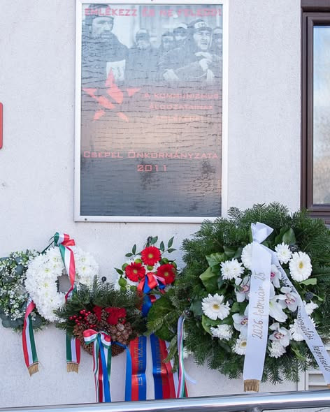 641651979 1455110419404642 3120299118701931963 n.jpg?stp=dst jpg s590x590 tt6& nc cat=101&ccb=1 7& n.jpg