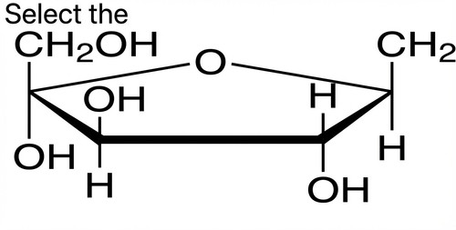 biochimie emd1 2017 ce 0003 nbp.jpg