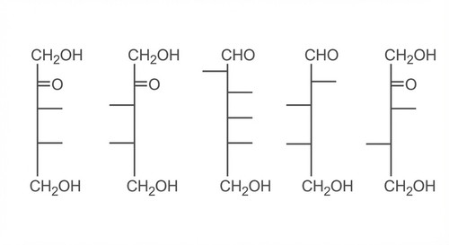 biochimie emd1 2017 ce 0001 nbp.jpg