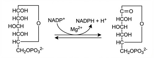 biochimie emd1 2020 ce 0001 nbp.jpg