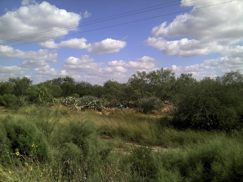 2012 10 24 15 11 56 44 M+®xico.jpg