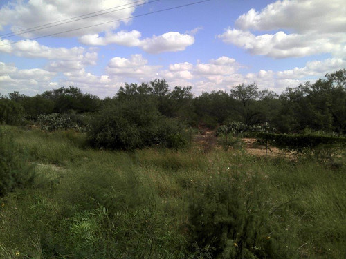 2012 10 24 15 11 20 160 M+®xico.jpg