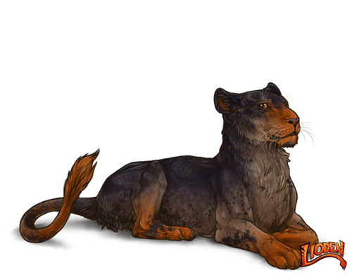 lioden wardrobe (58).png