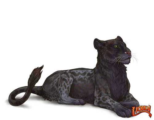 lioden wardrobe (70).png