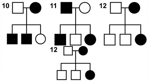 genetique emd3 2014 ce 0003 nbp.jpg