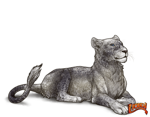 lioden wardrobe 2026 02 26T134255.555.png