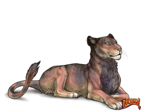 lioden wardrobe 2026 02 26T134324.499.png