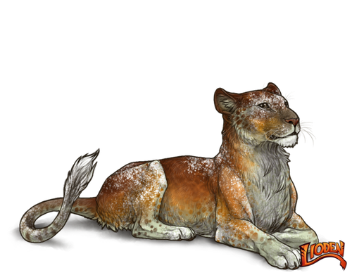 lioden wardrobe 2026 02 26T134353.848.png