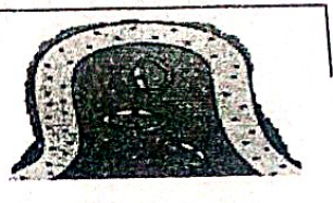 embryologie emd 2020 ce 0004.png