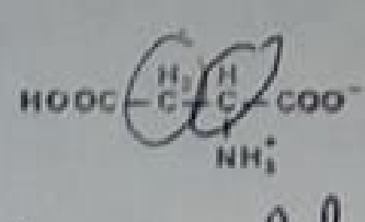 biochimie emd3 2018 ce 0001.png