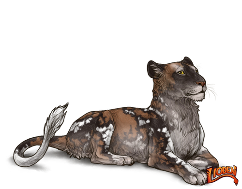 lioden wardrobe (86).png