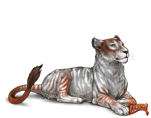 lioden wardrobe (87).png