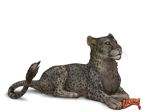 lioden wardrobe (82).png