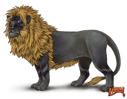 lioden wardrobe (79).png