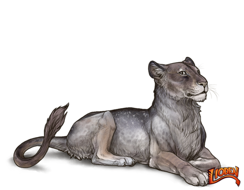 lioden wardrobe (81).png