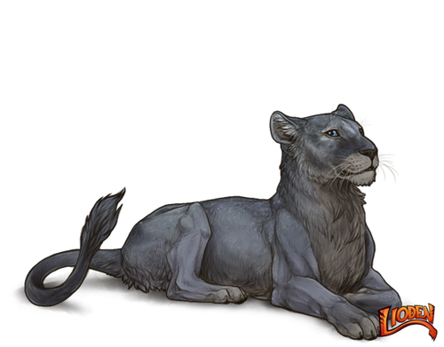 lioden wardrobe (72).png