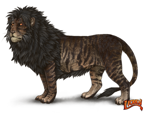 lioden wardrobe (77).png