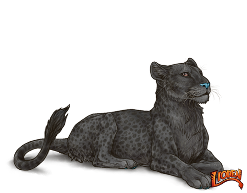 lioden wardrobe (91).png