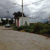 IMG 0905