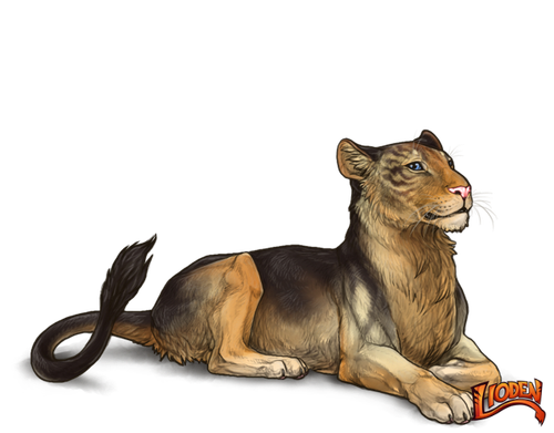 lioden wardrobe (93).png