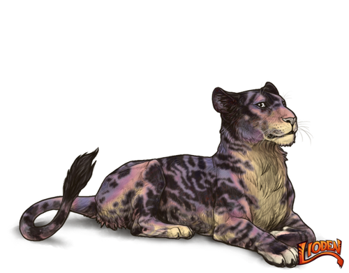 lioden wardrobe (55).png