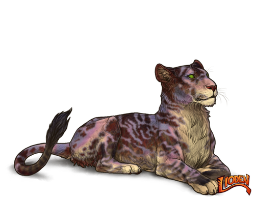 lioden wardrobe 2026 02 26T135043.464.png