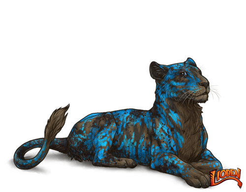 lioden wardrobe 2026 02 26T135357.662.png