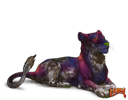 lioden wardrobe 2026 02 26T135709.759.png