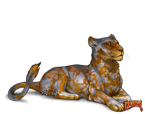 lioden wardrobe 2026 02 26T134949.700.png