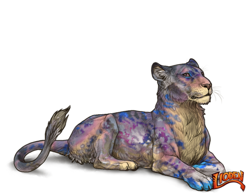 lioden wardrobe 2026 02 26T135525.436.png