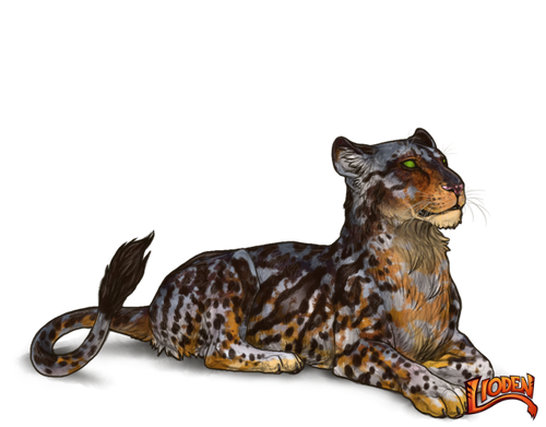 lioden wardrobe 2026 02 26T135615.096.png