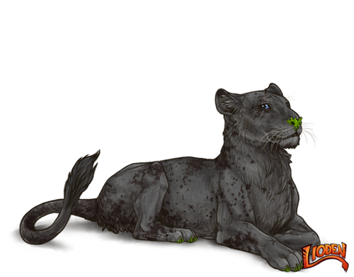 lioden wardrobe (67).png