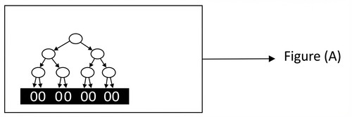 histologie emd2 2016 ce 0002 nbp.jpg
