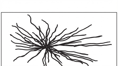 histologie emd2 2018 ce 0002 nbp.jpg