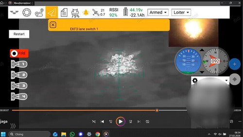 imageedit 2 3282466929