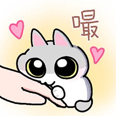 mmexport1772161701067.png