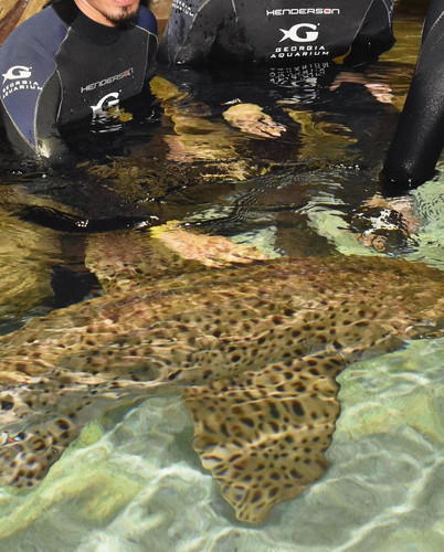 327507318 5768646376560810 2118796487944912832 n.jpg