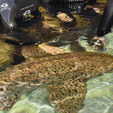 327507318 5768646376560810 2118796487944912832 n